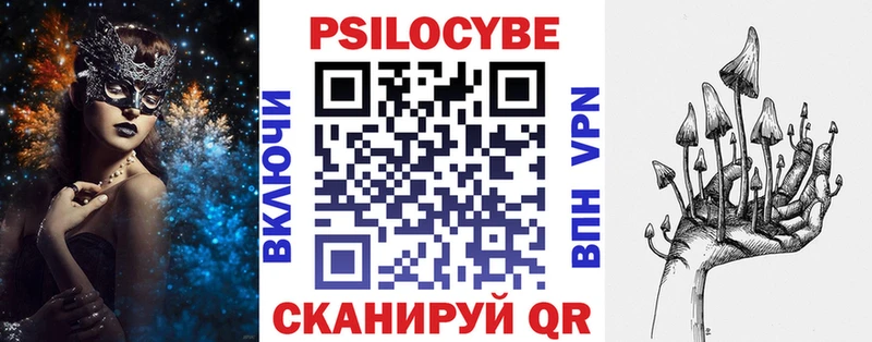 Псилоцибиновые грибы Cubensis Торопец